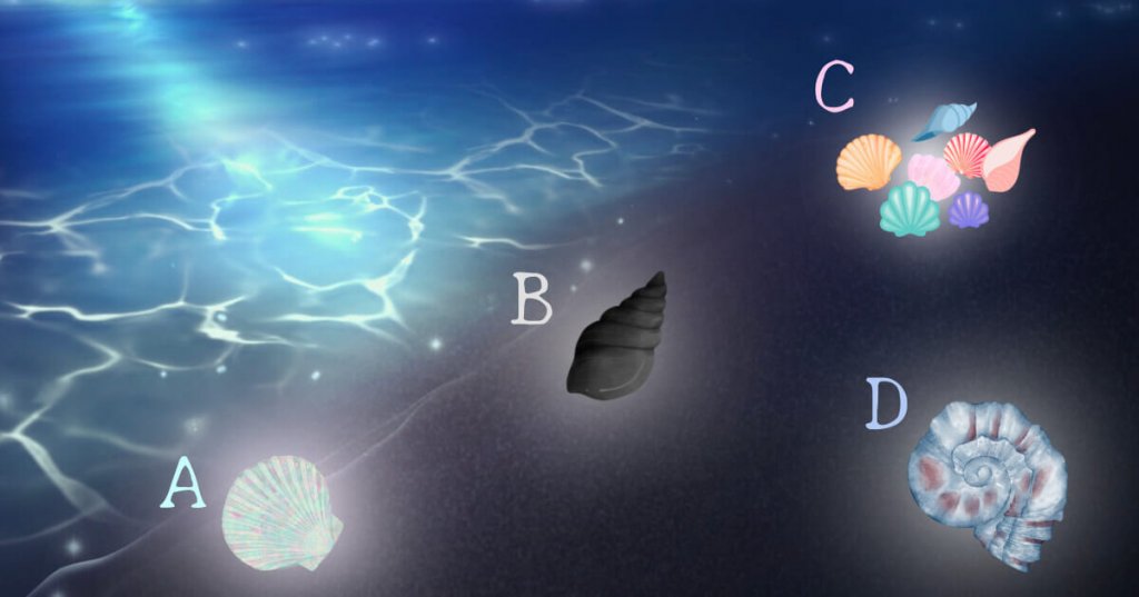 那是什么样的贝壳呢？ - 心理测试题封面图