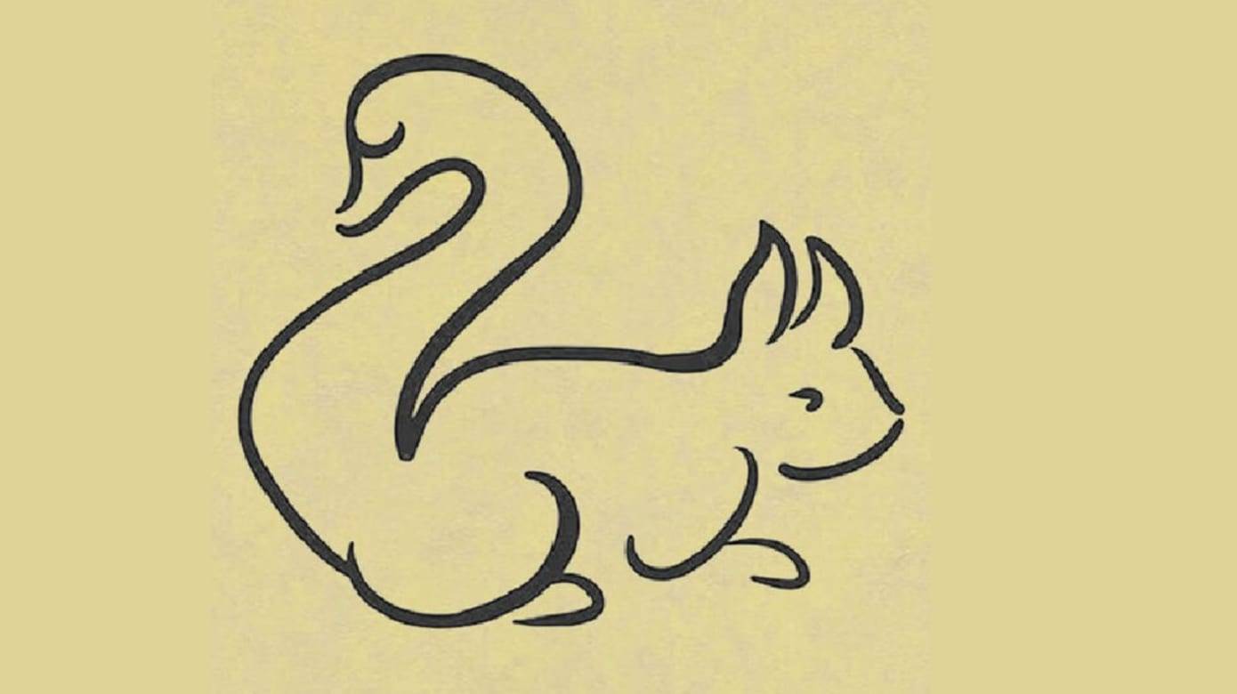 你第一眼看到的是天鹅还是松鼠？ - 心理测试题封面图