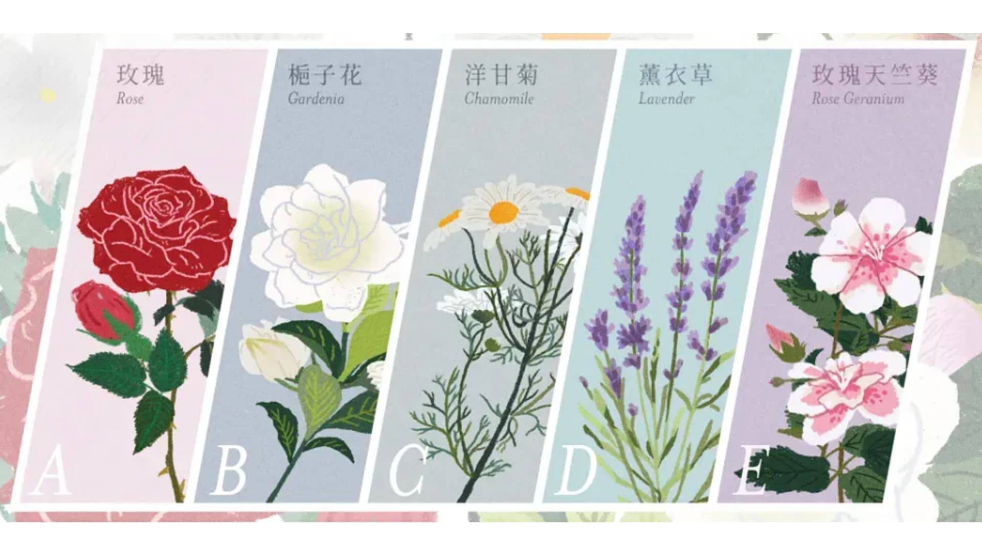 选择一种植物 - 心理测试题封面图