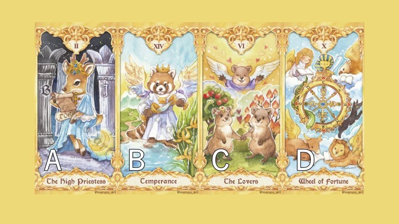 Your Favorite Image - 心理测试题封面图