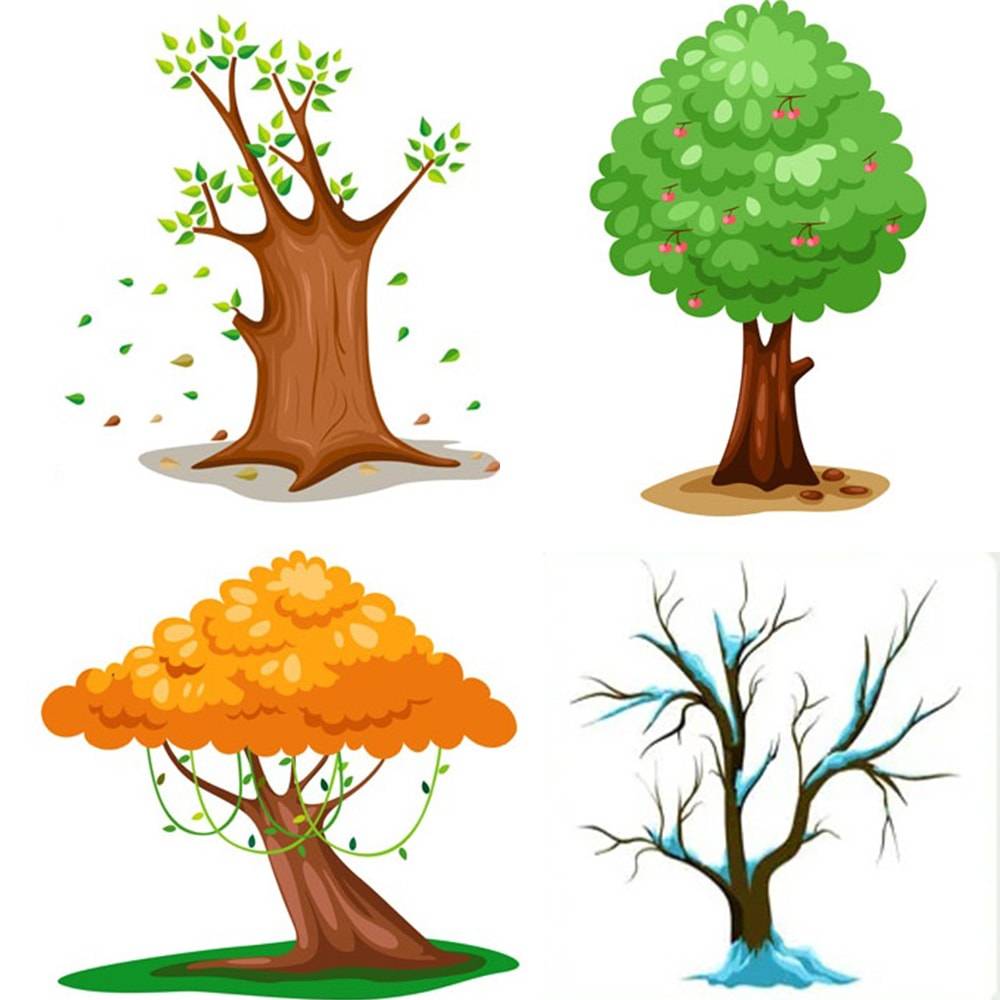 Which Tree Attracts You Most? - 心理测试题封面图